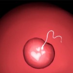 Thumbnail of post image 091