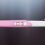 Thumbnail of post image 182