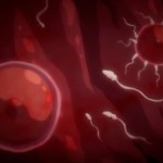 Thumbnail of post image 184