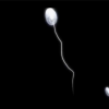 Thumbnail of related posts 110